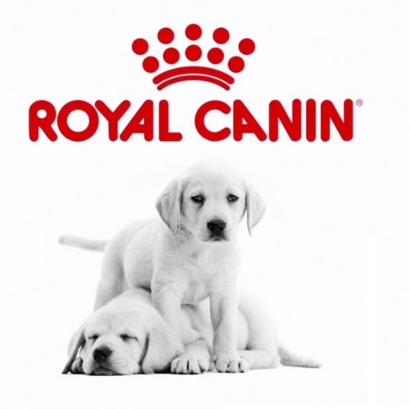 Royal Canin